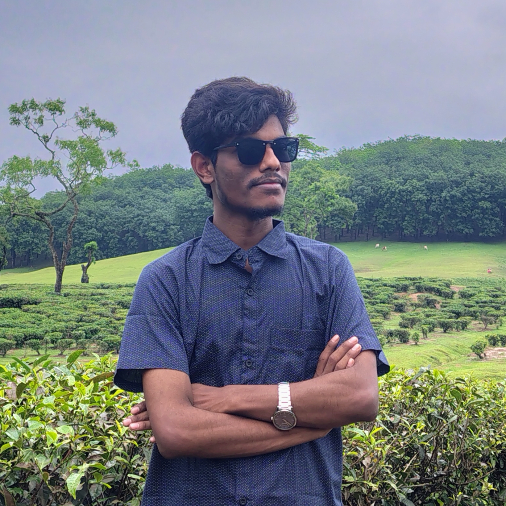 তানজিমুল ইসলাম তারেক